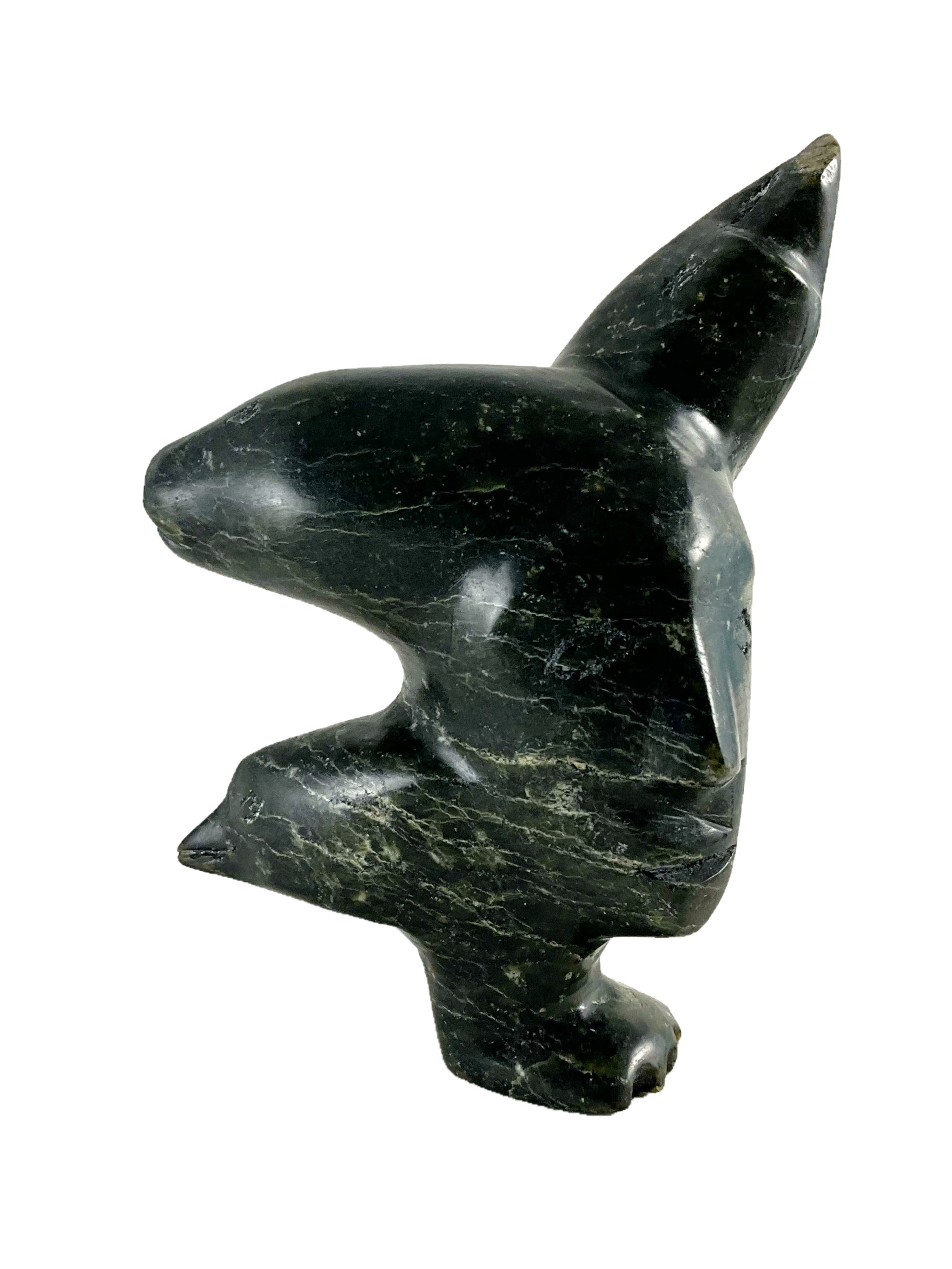 Transformation by Luca Mikkigak