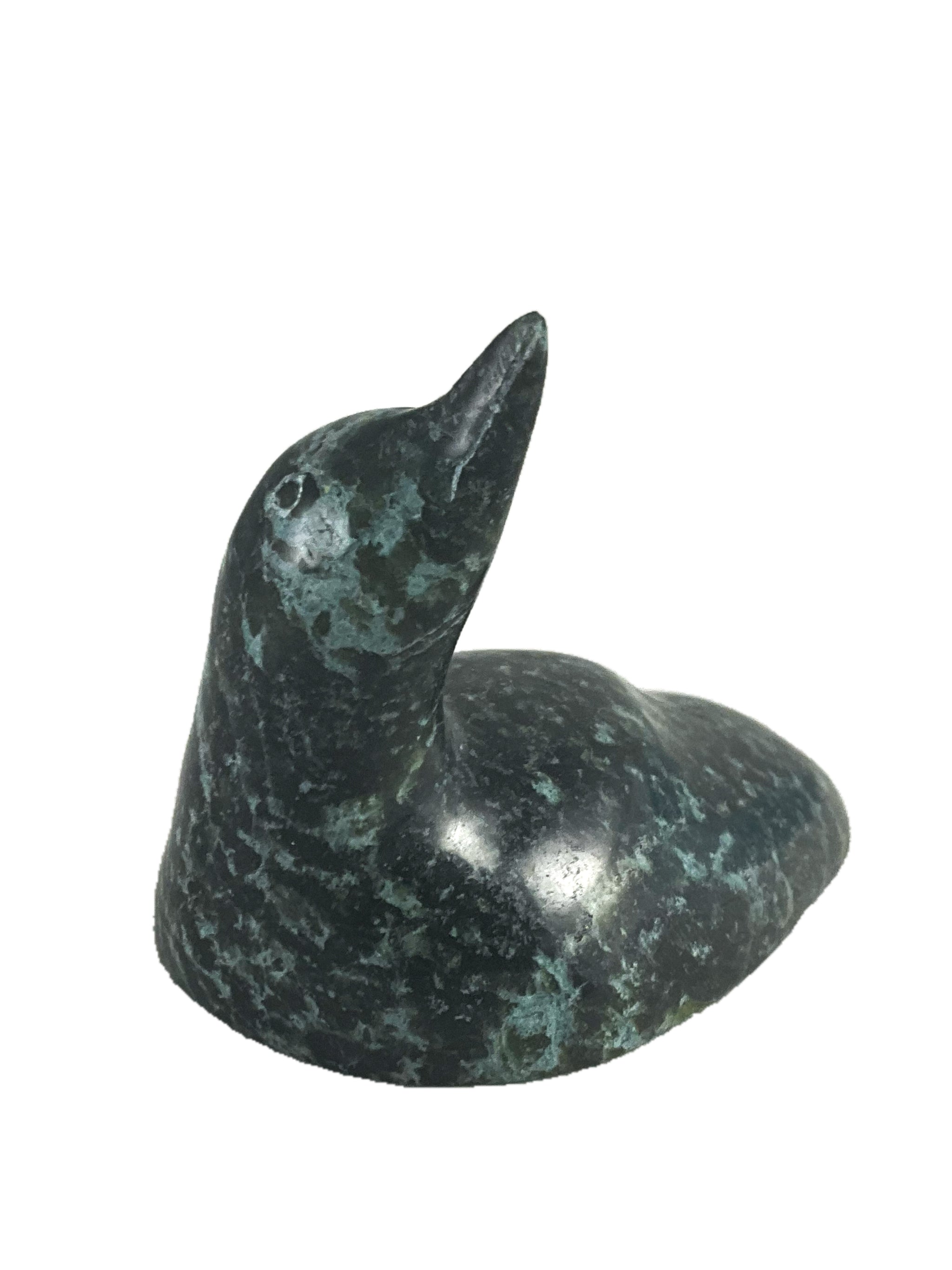 Loon By Ning Adshoona