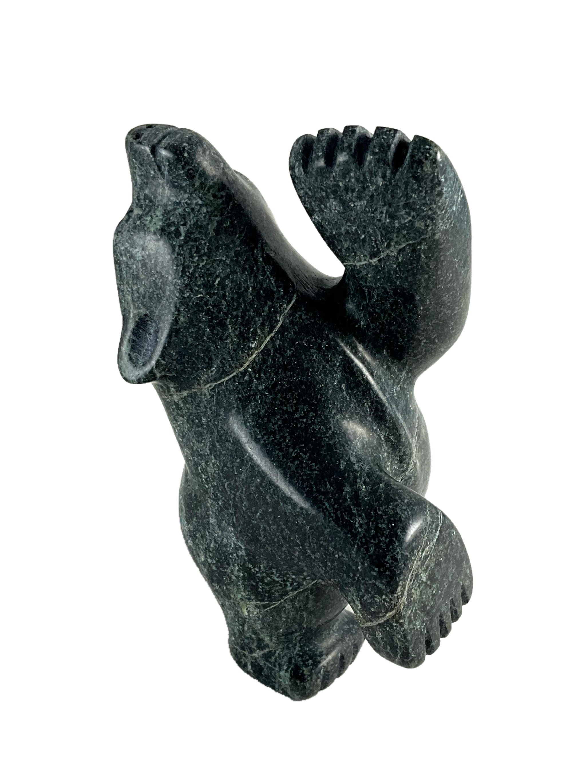 Dancing Bear by Adamie Mathewsie