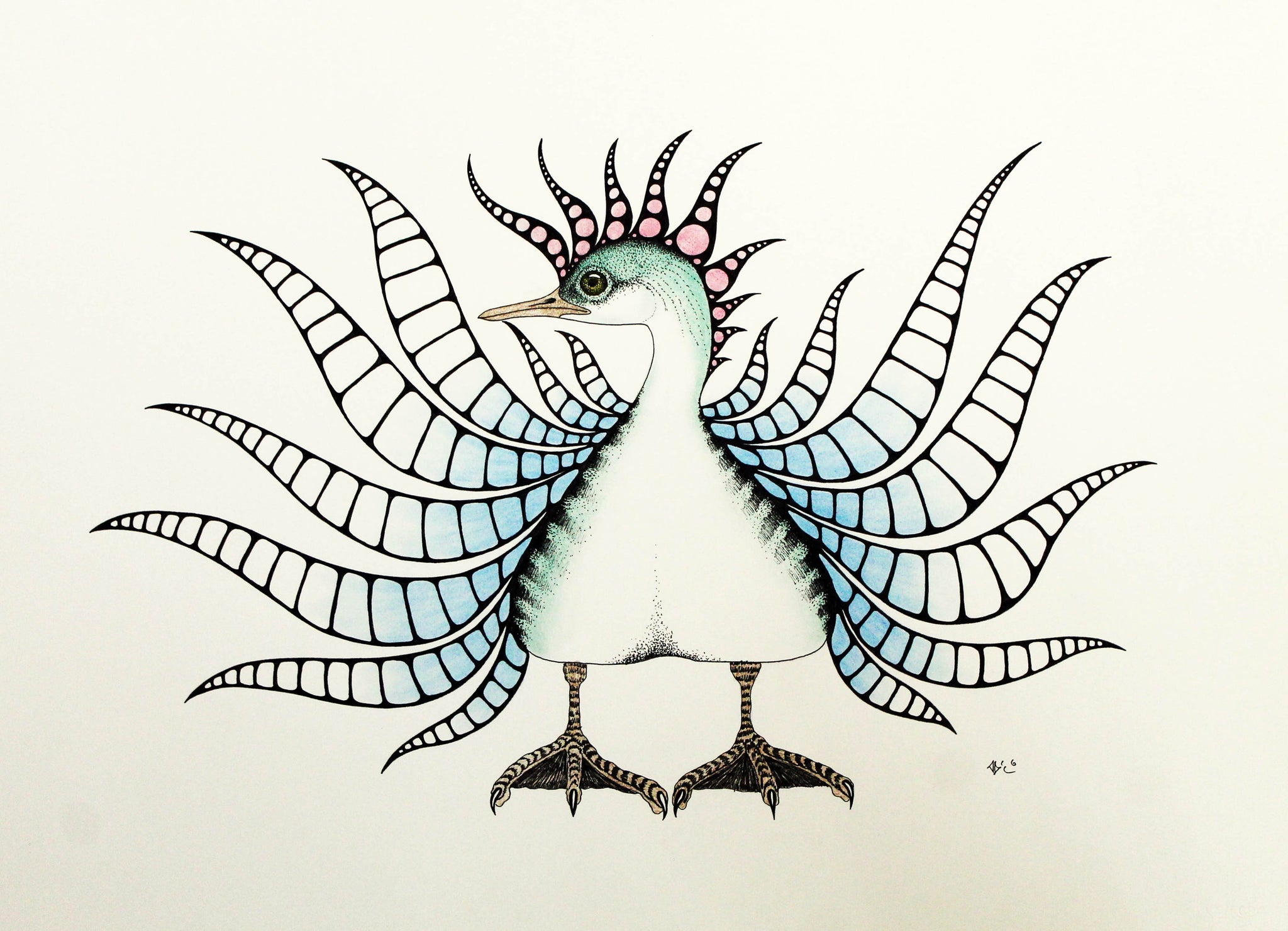 Bird looking by Aoudla Pudlat