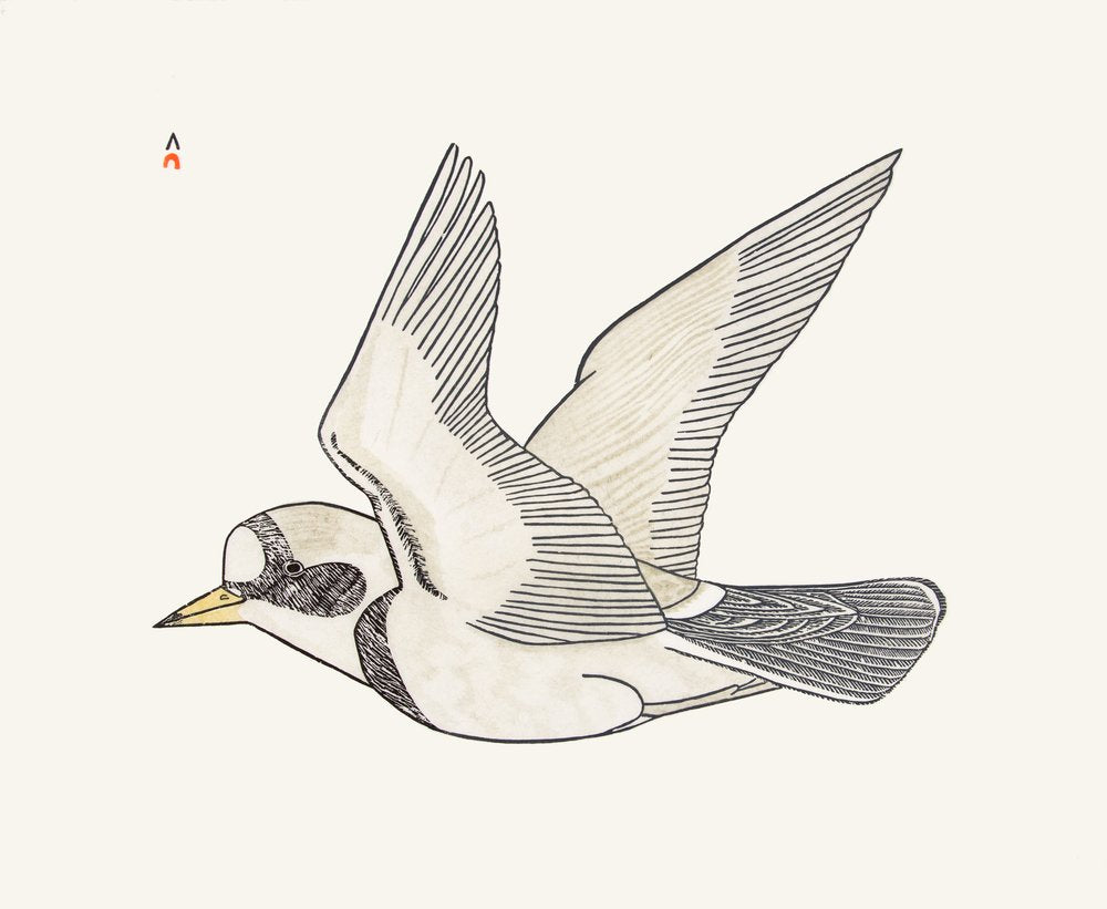 Segeln auf der Breeze von Kananginak Pootoogook