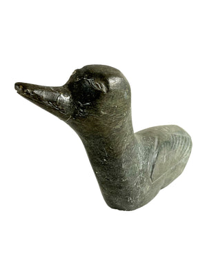 Old Bird By unidentified artist ( restored)