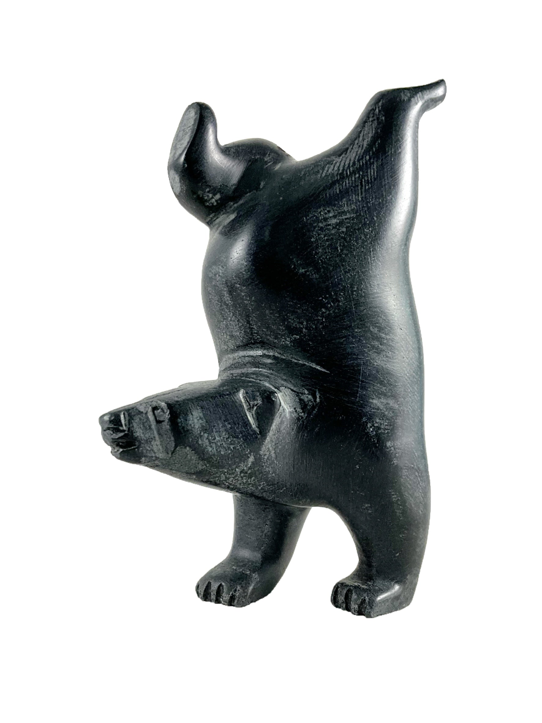 Diving bear by Tim Pee