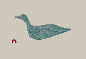 Guillemot by PAUOJOUNGIE SAGGIAK