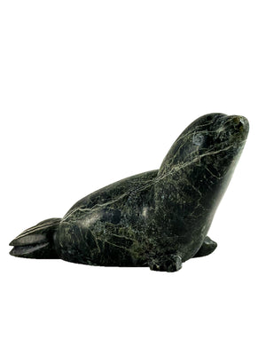 Seal by Ashevak Ashoona