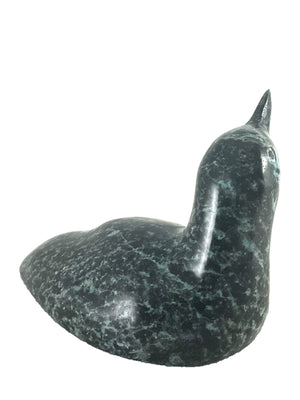 Loon By Ning Adshoona