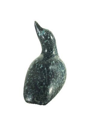 Loon By Ning Adshoona