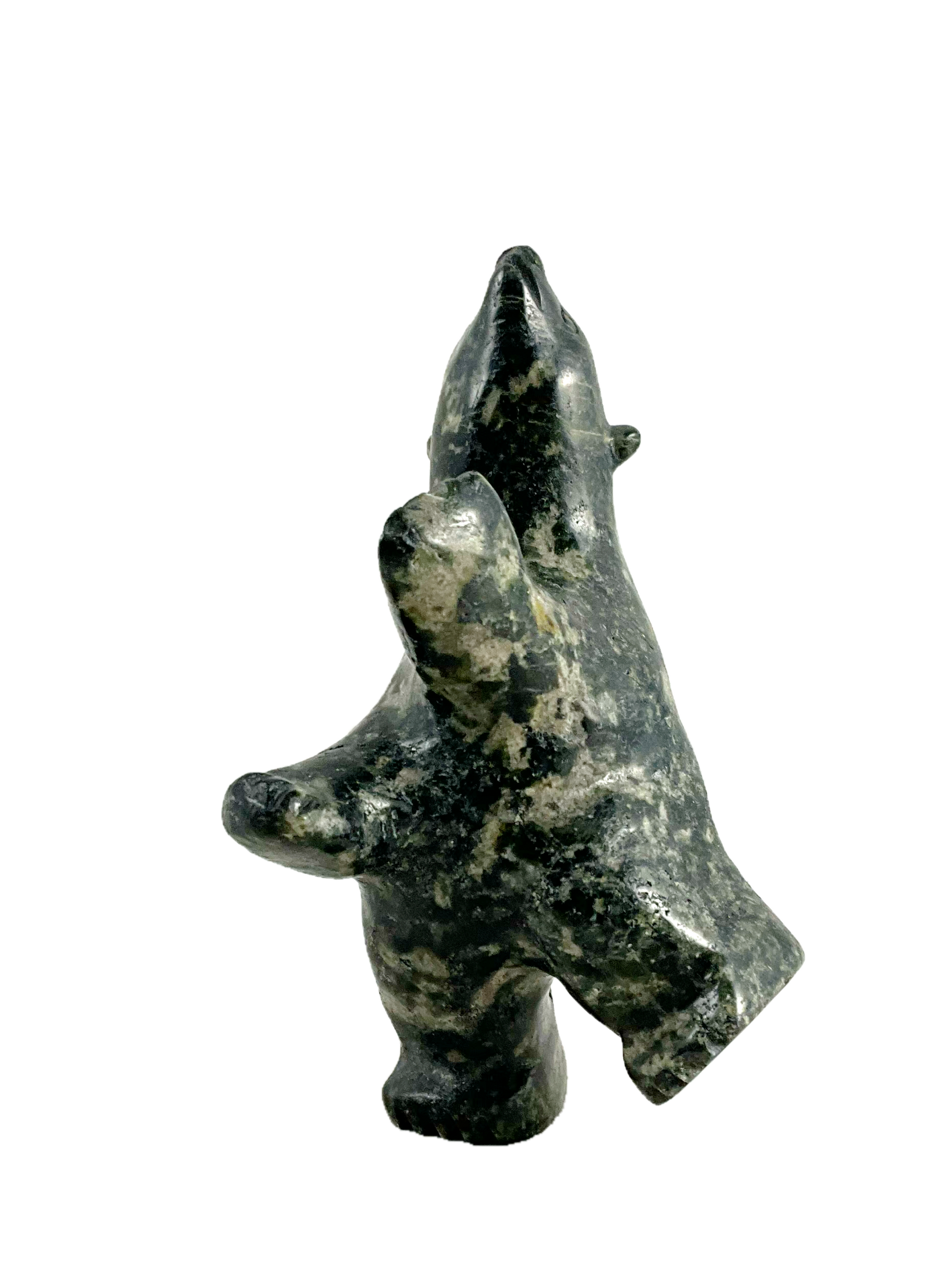 Dancing bear by Davidee Shaa