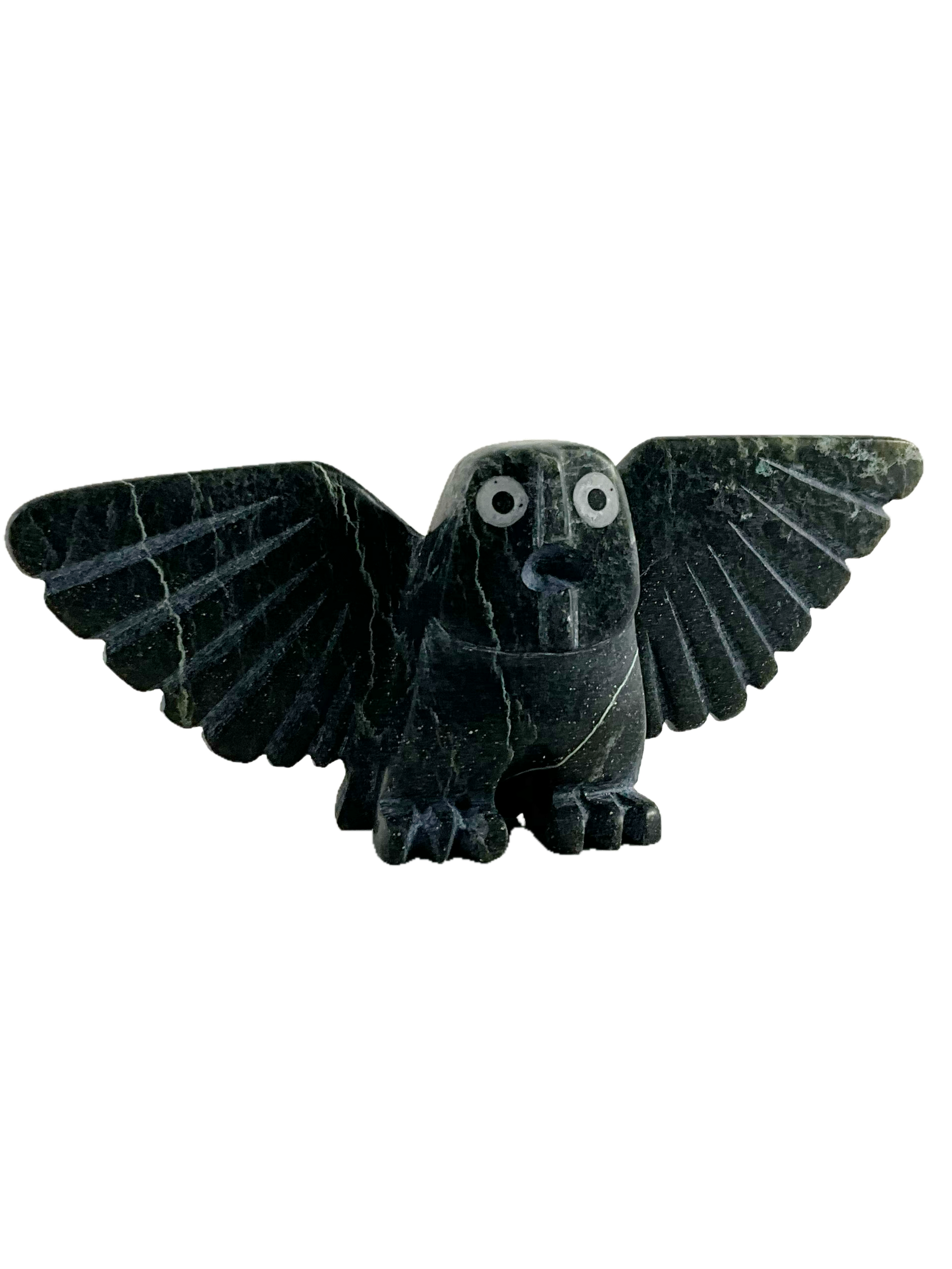 Owl By Adamie Mathewsie