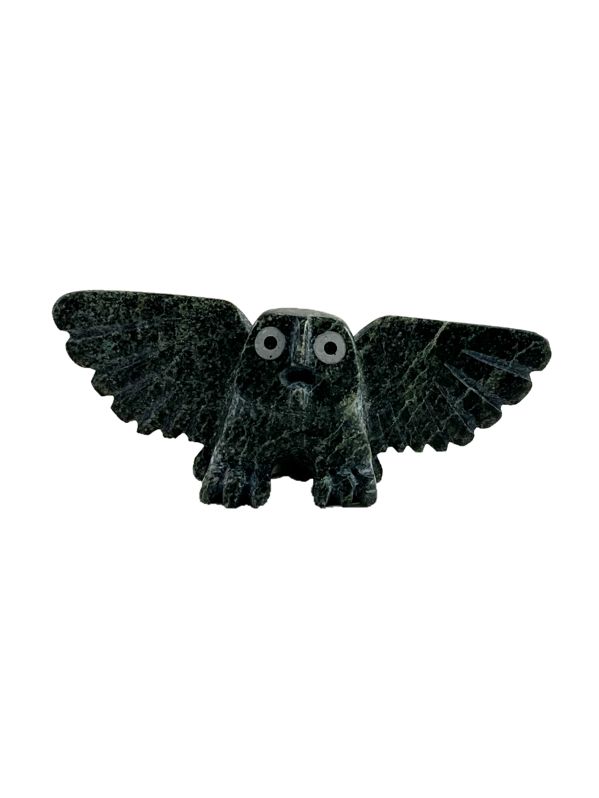 Owl By Adamie Mathewsie