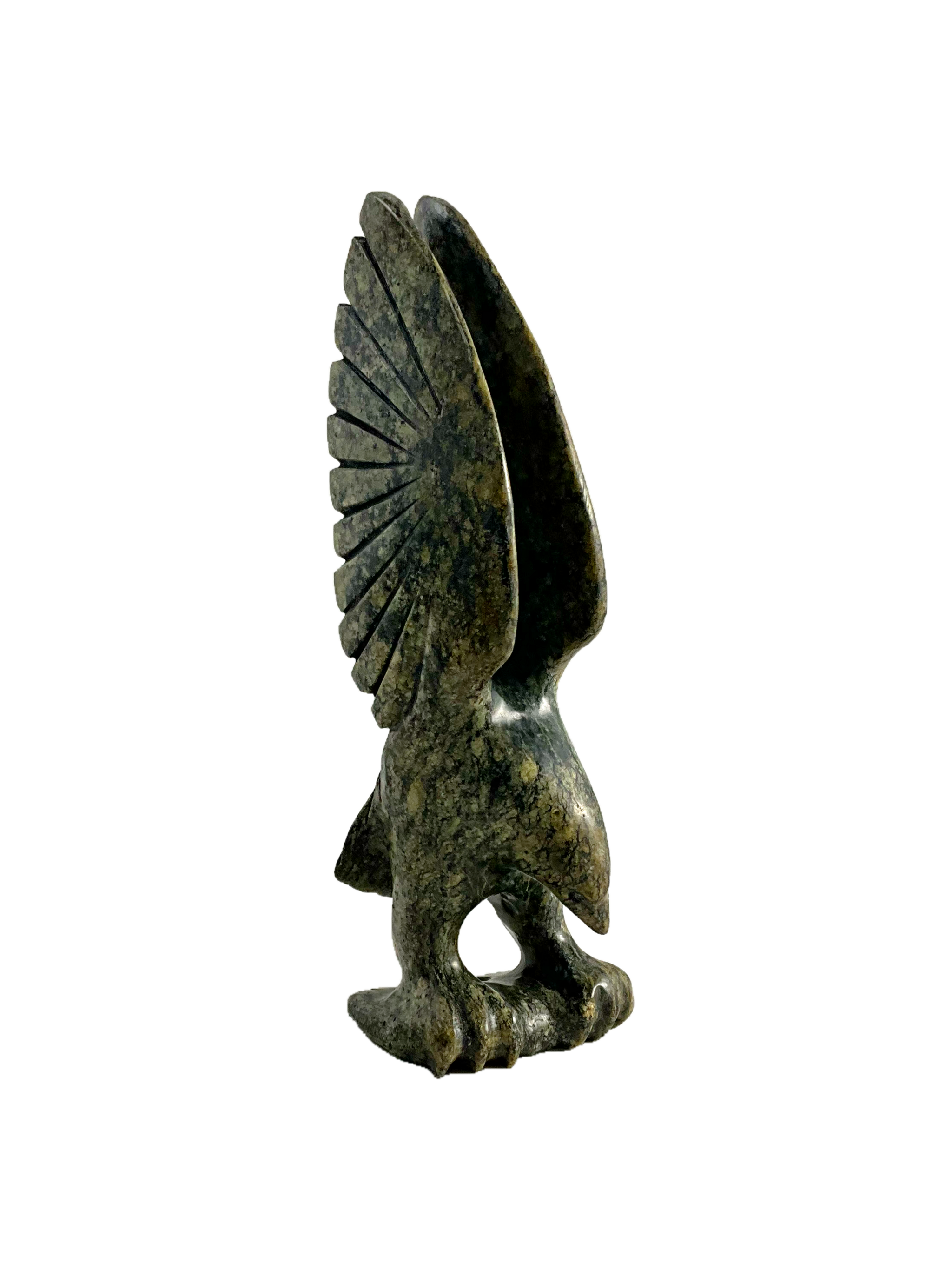 Eagle by Kelly Etidloie