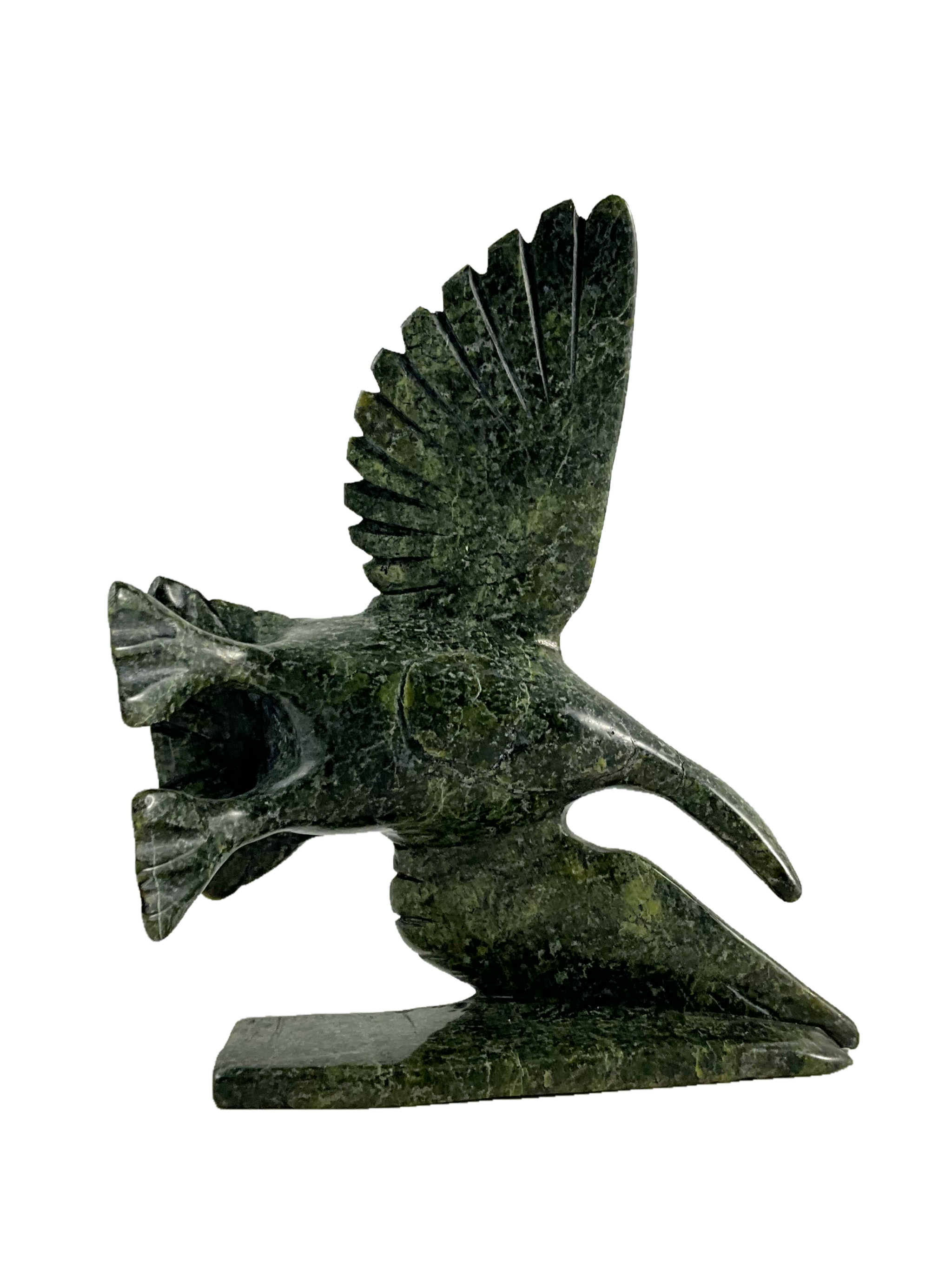 Goose in flight by Kelly Etidloie