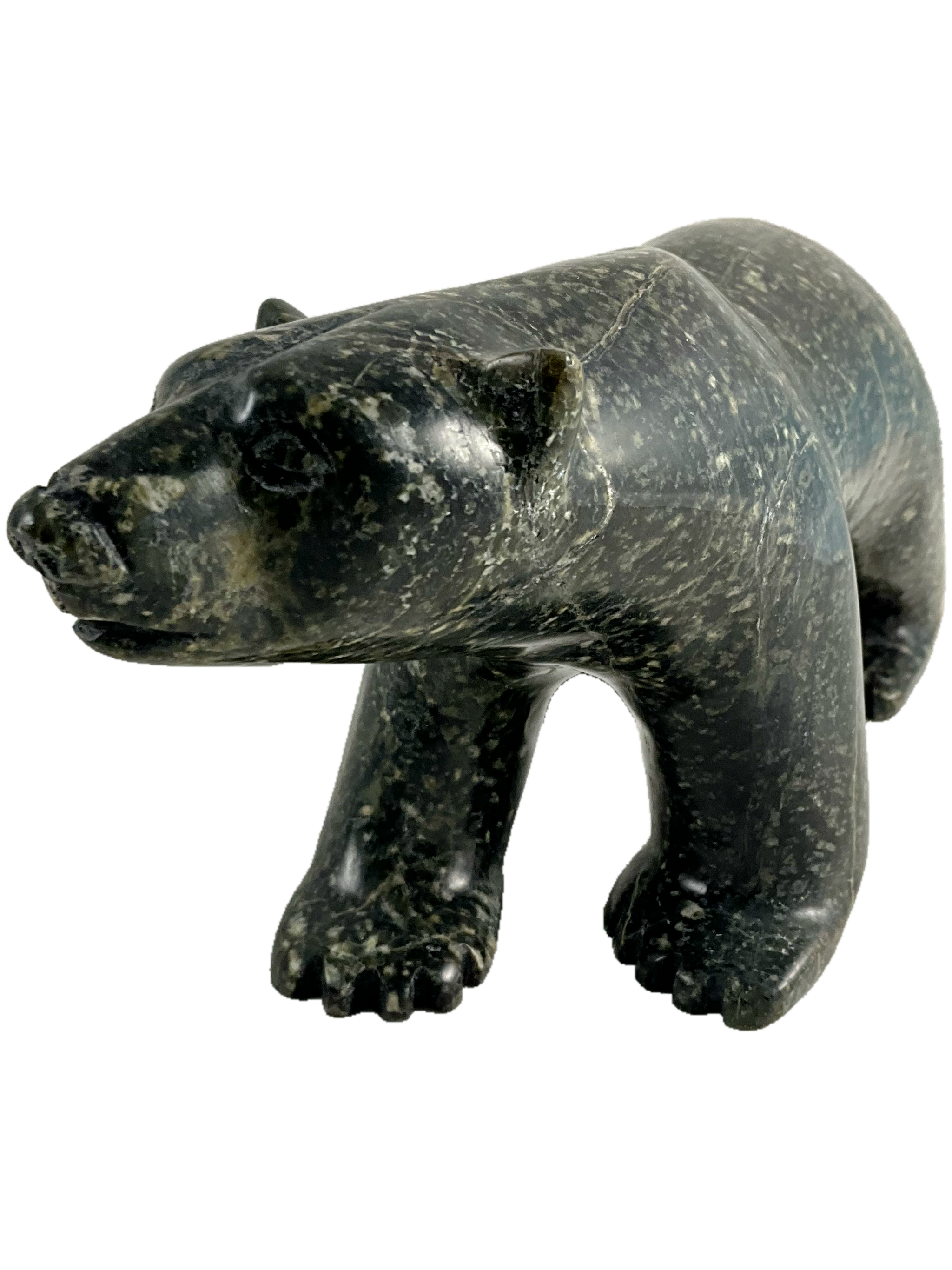 Walking bear by Mathew Flaherty