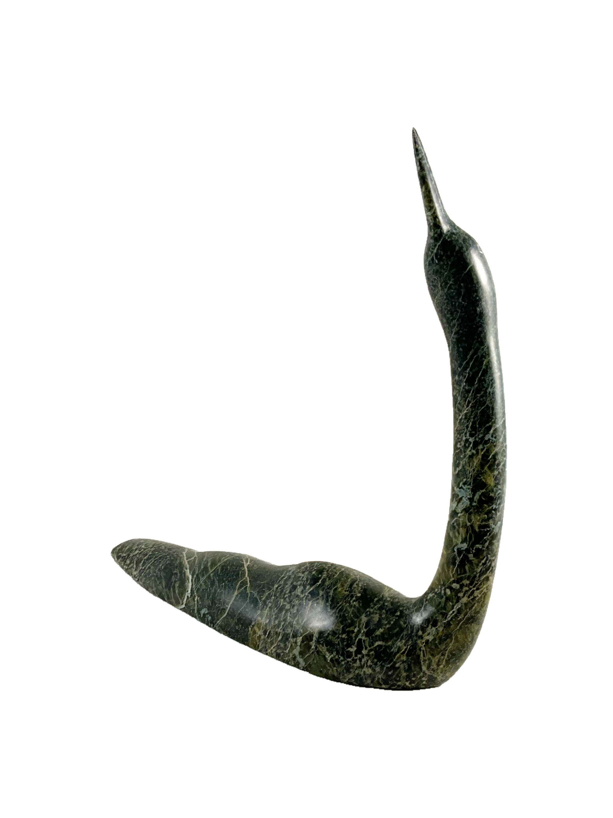 Swimming loon by Ning Ashoona