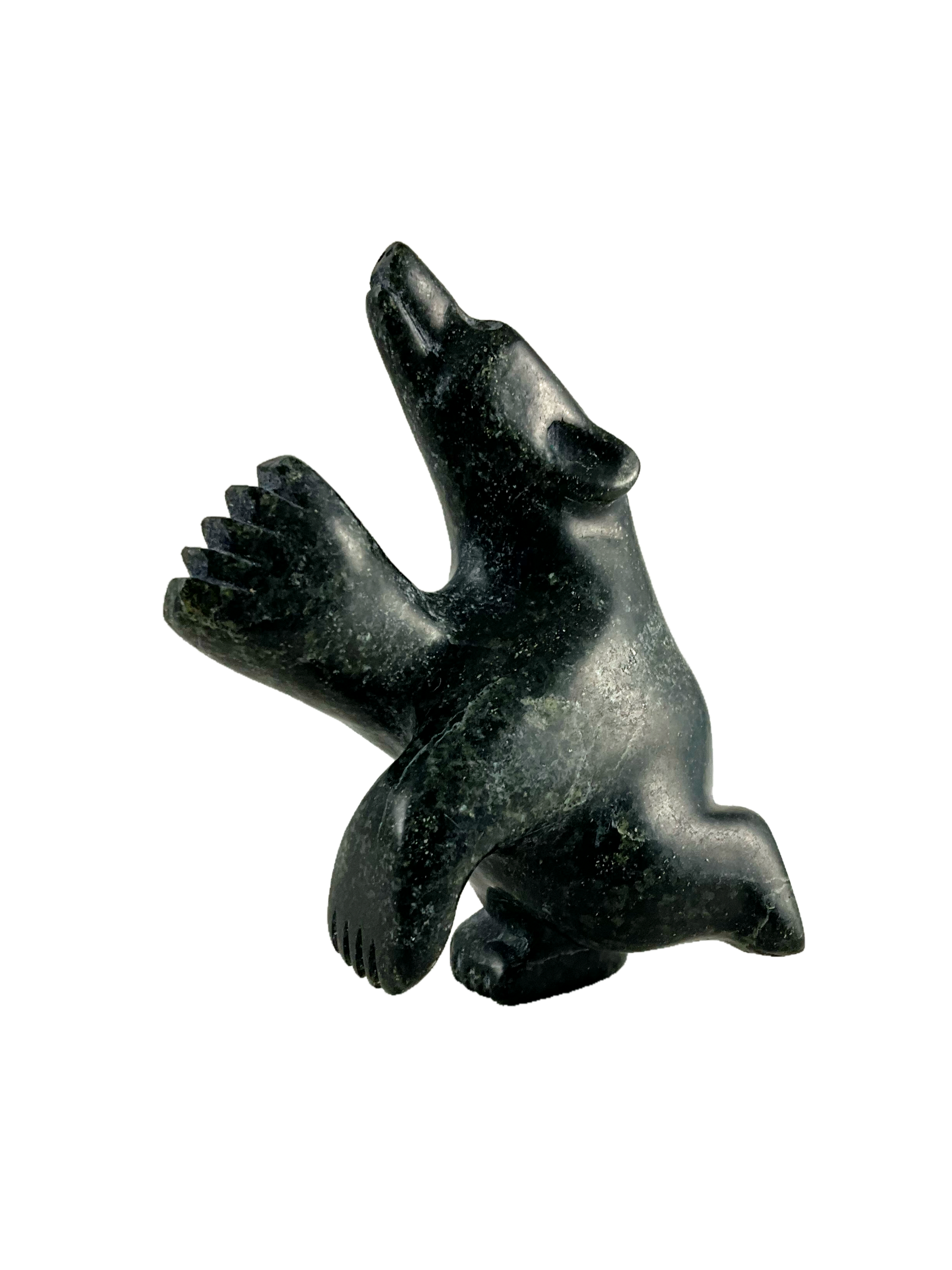 Dancing bear by Adamie Mathewsie