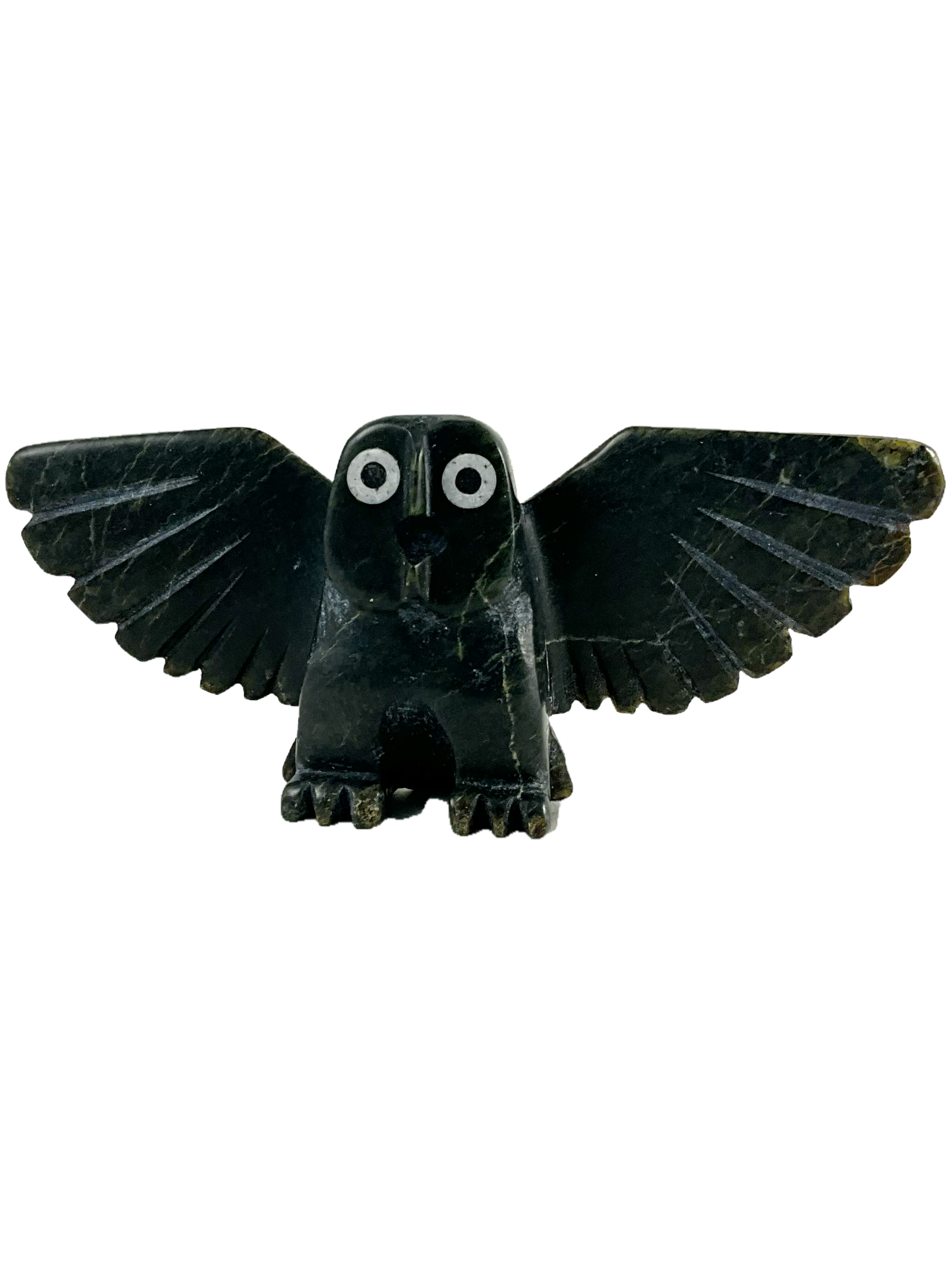 Owl by Adamie Mathewsie