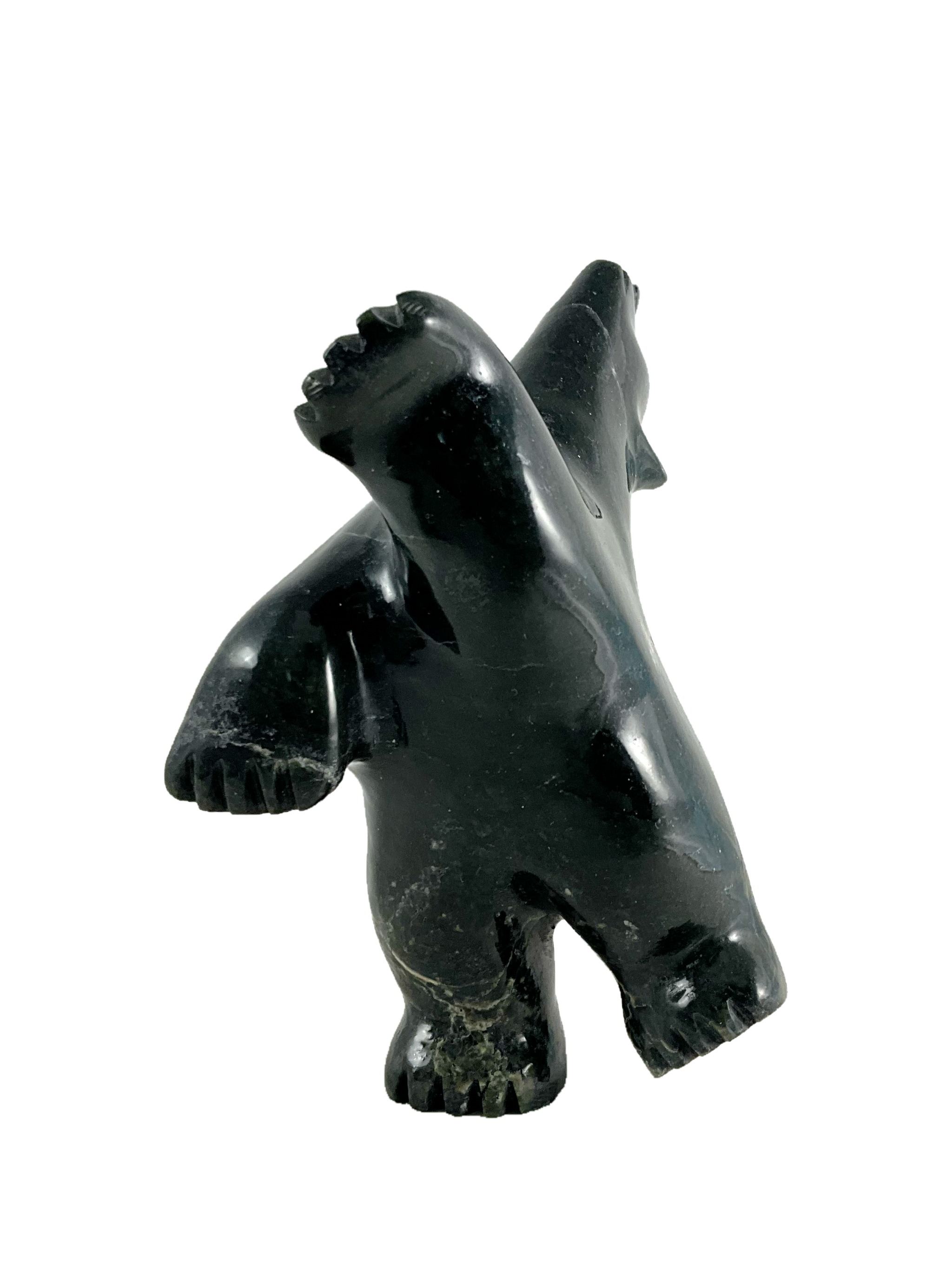 Dancing bear by Noah Jaw