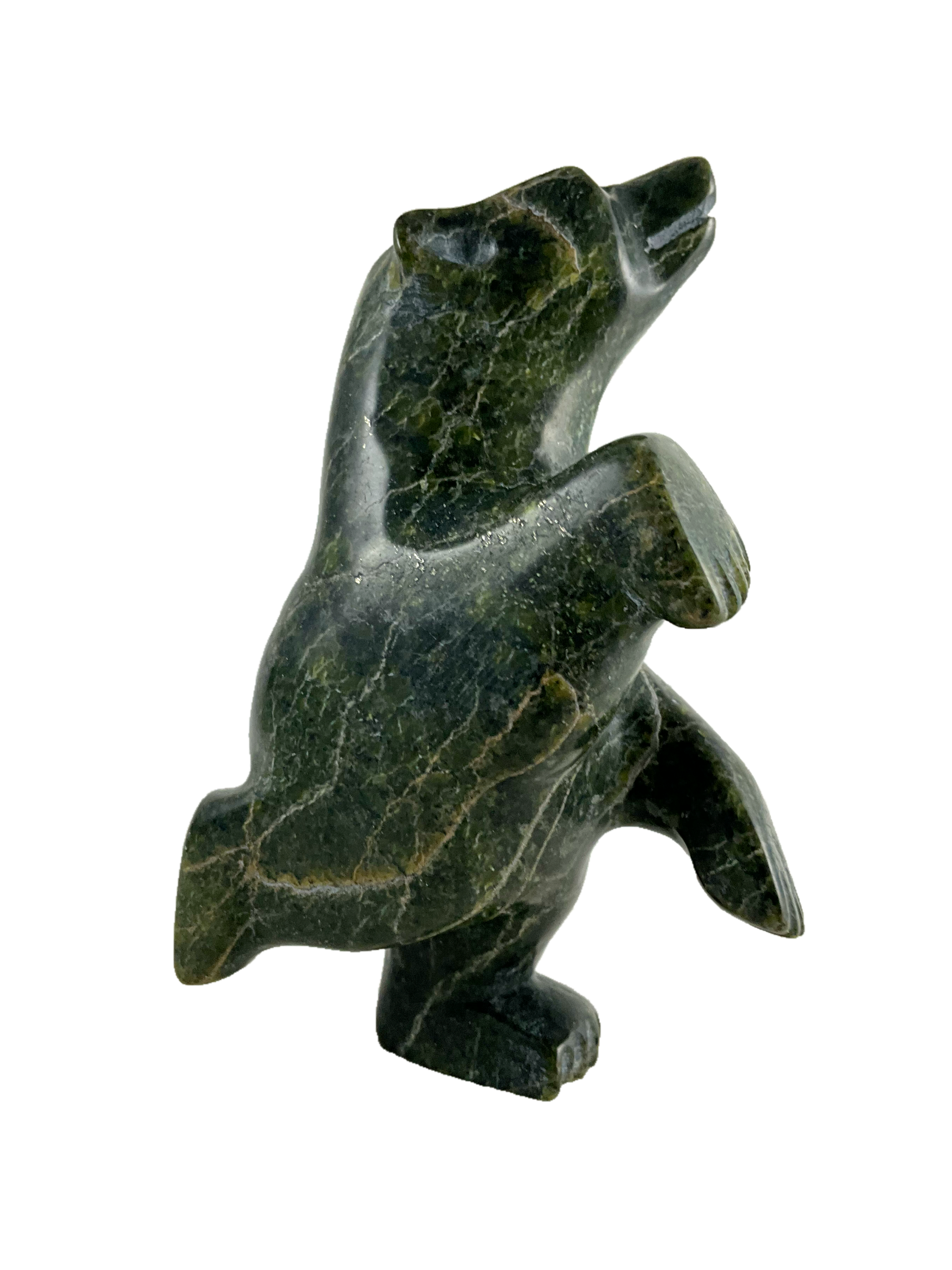 Dancing bear By Adamie Mathewsie