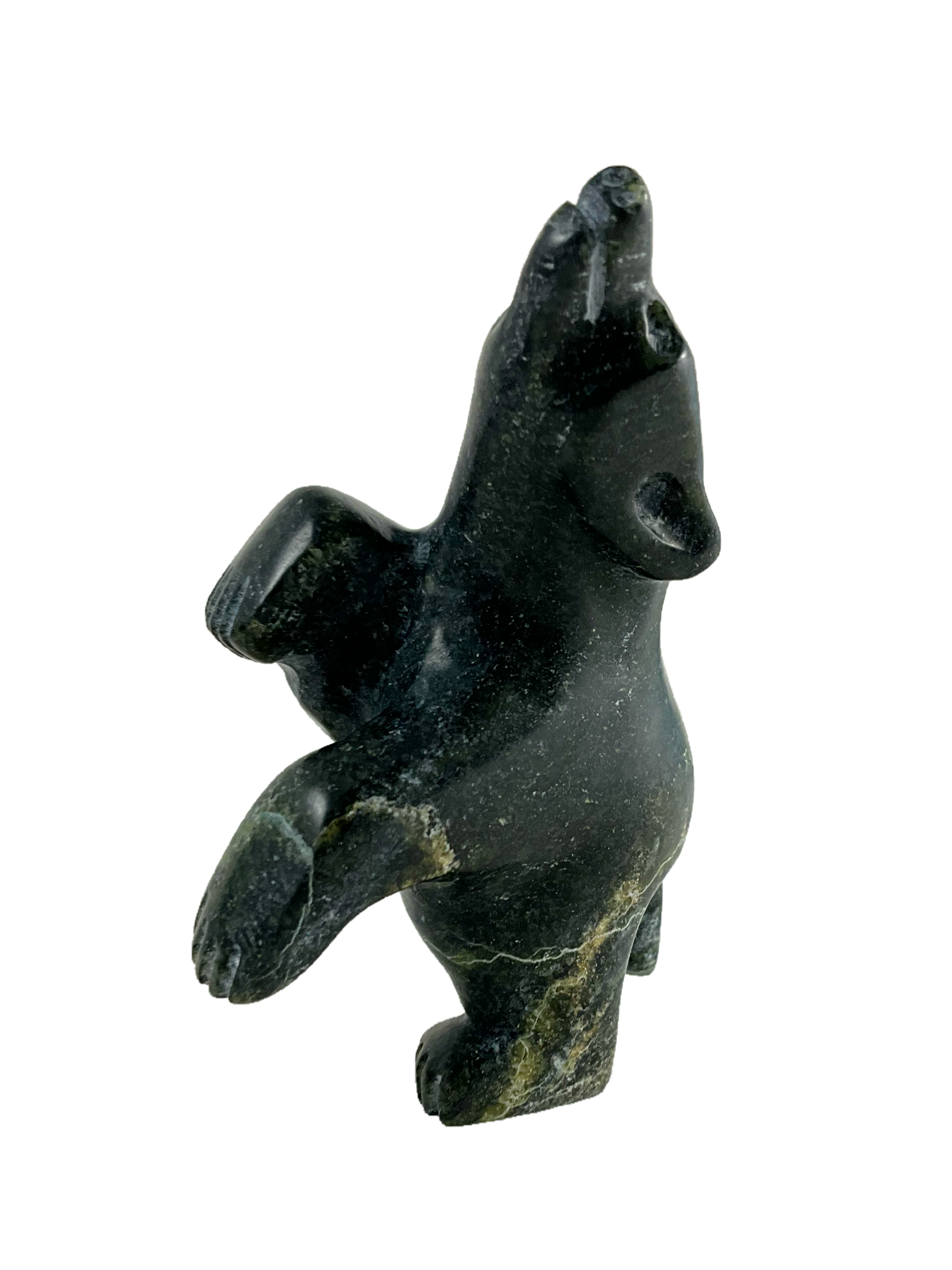 Dancing Bear by Adamie Mathewsie