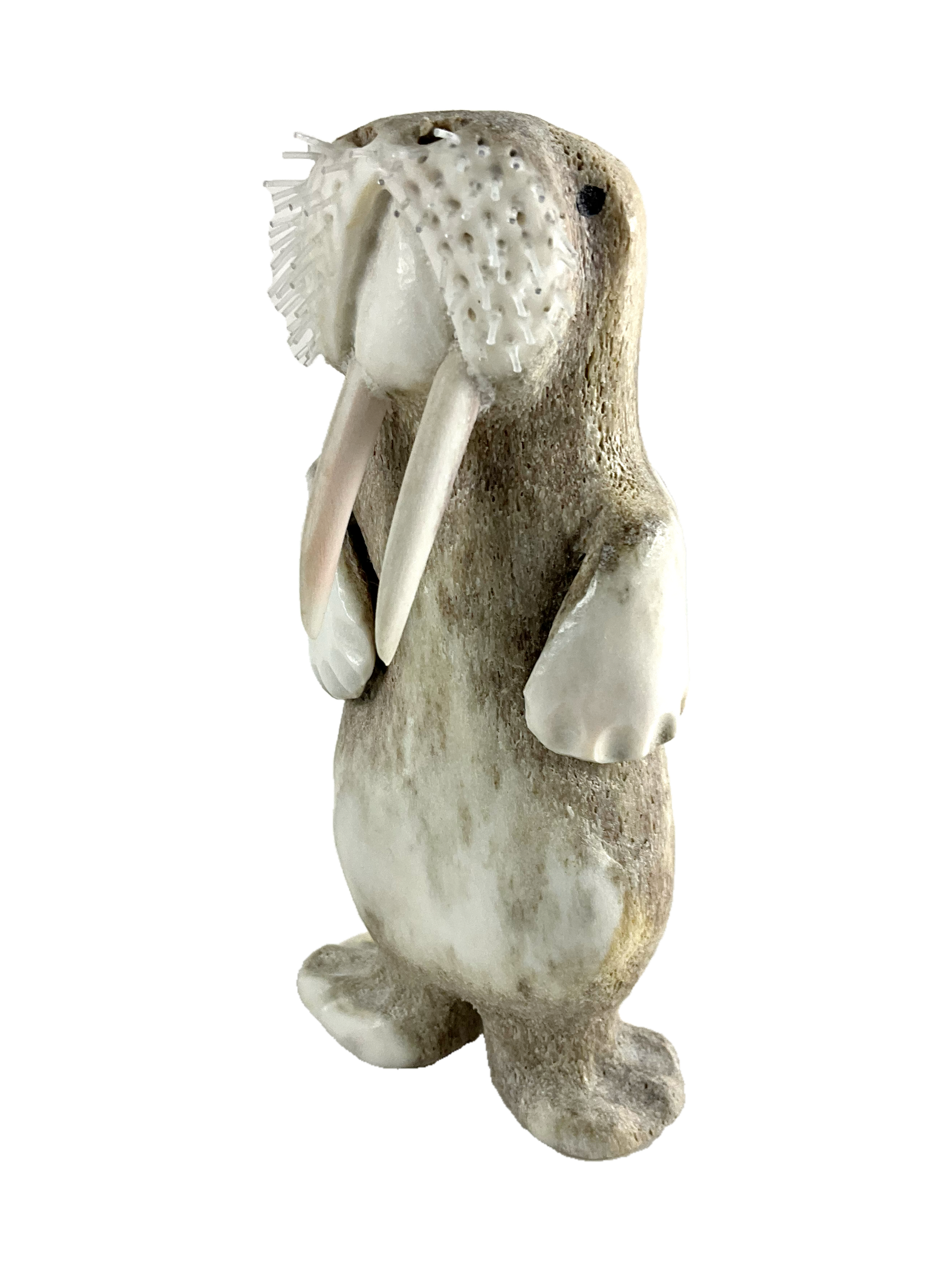 Walrus by Billy Kuniliusee