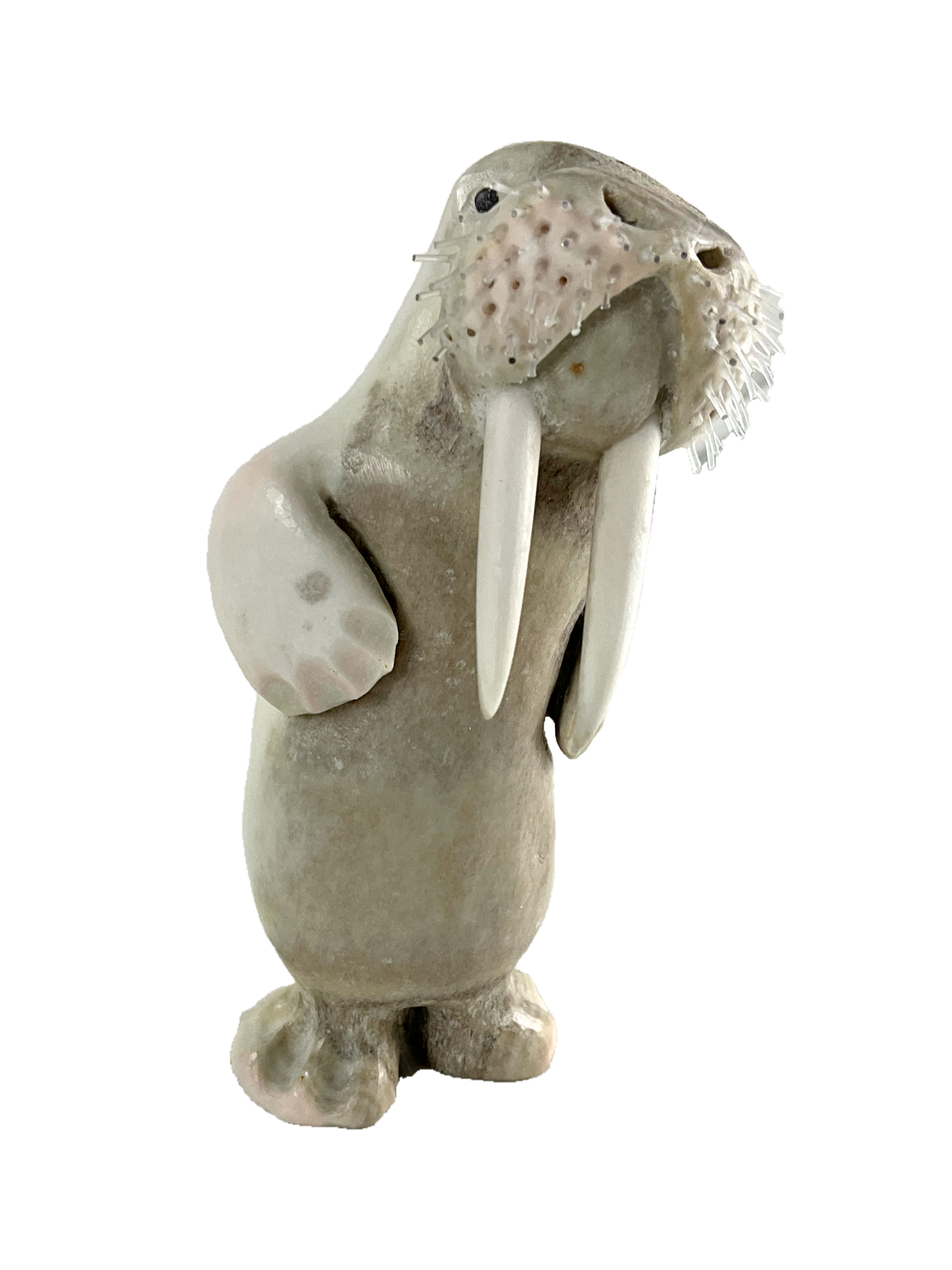 Walrus by Billy Kuniliusee