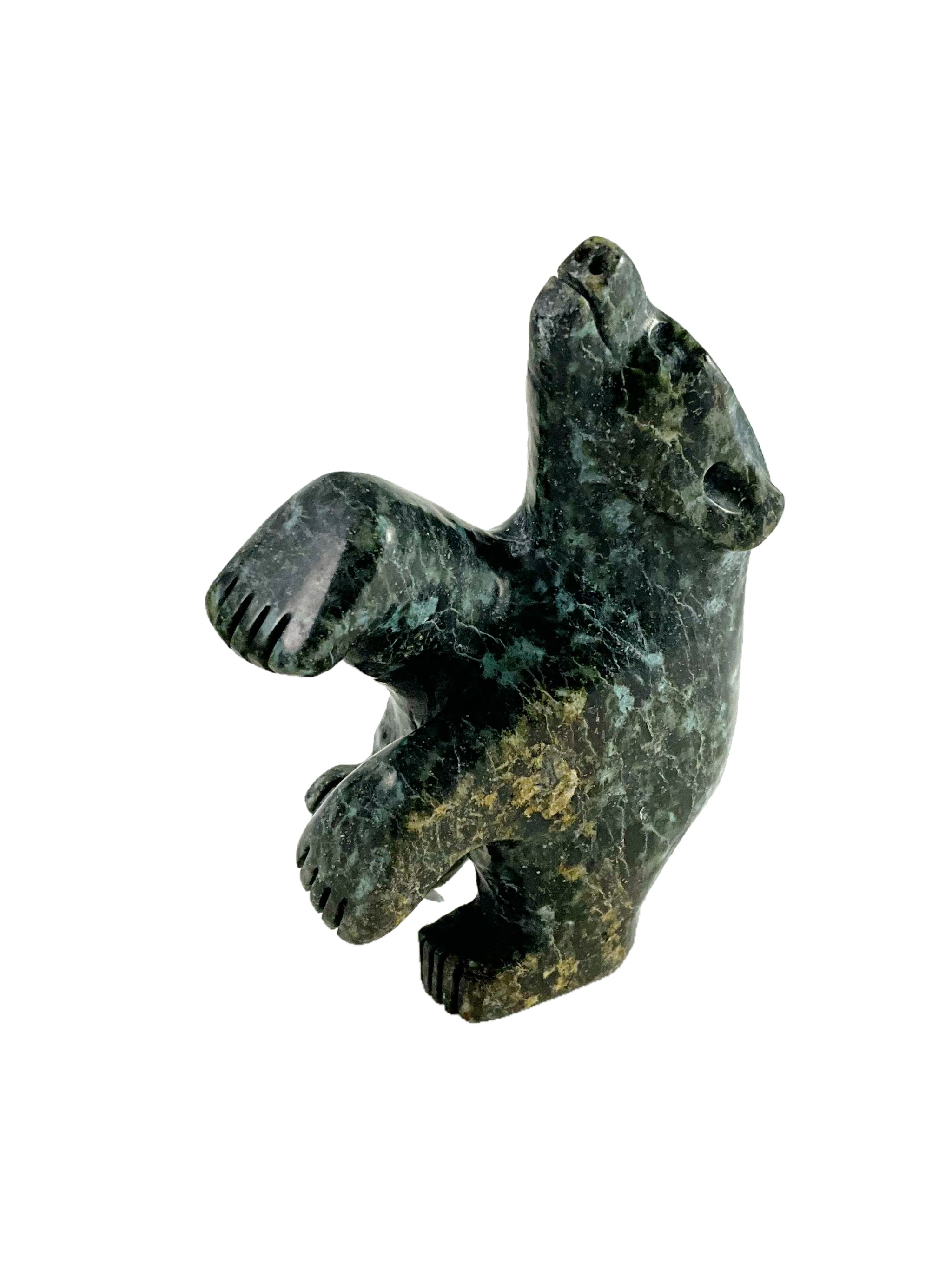 Dancing bear by Adamie Mathewsie