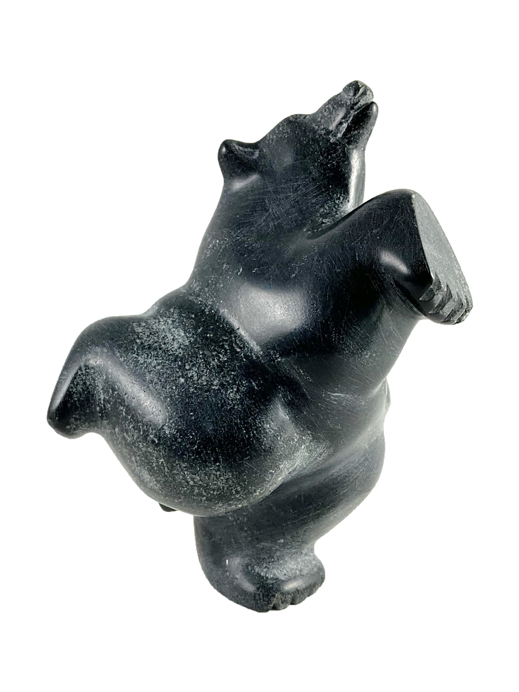 Dancing-Diving bear by Isaacie Shaa