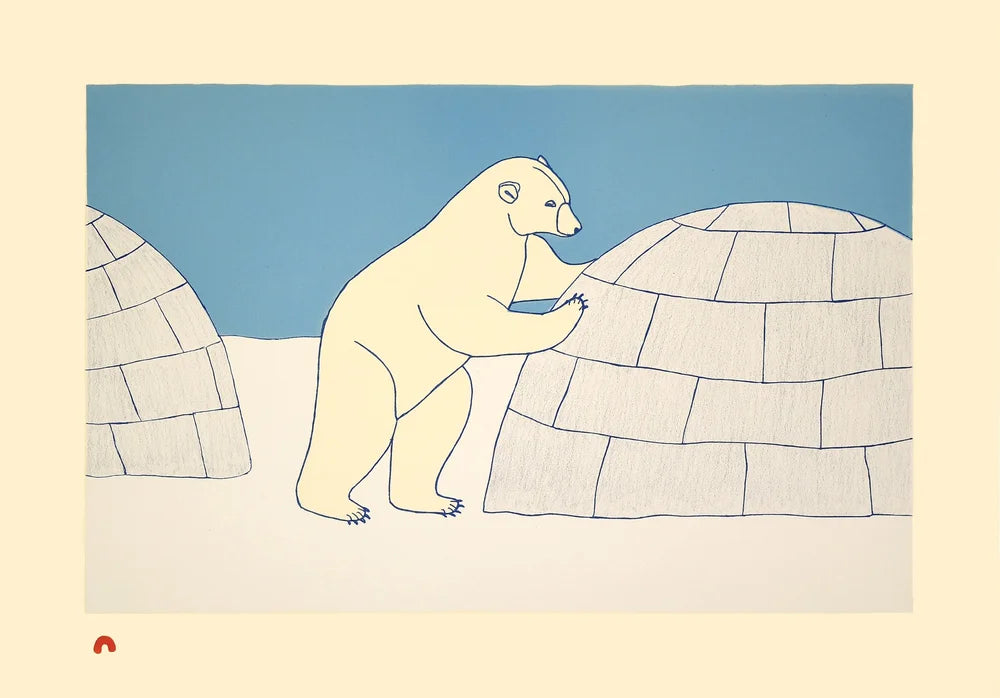 Nosy Bear by QAVAVAU MANUMIE From the cape dorset print collection 2026 annual print collection 