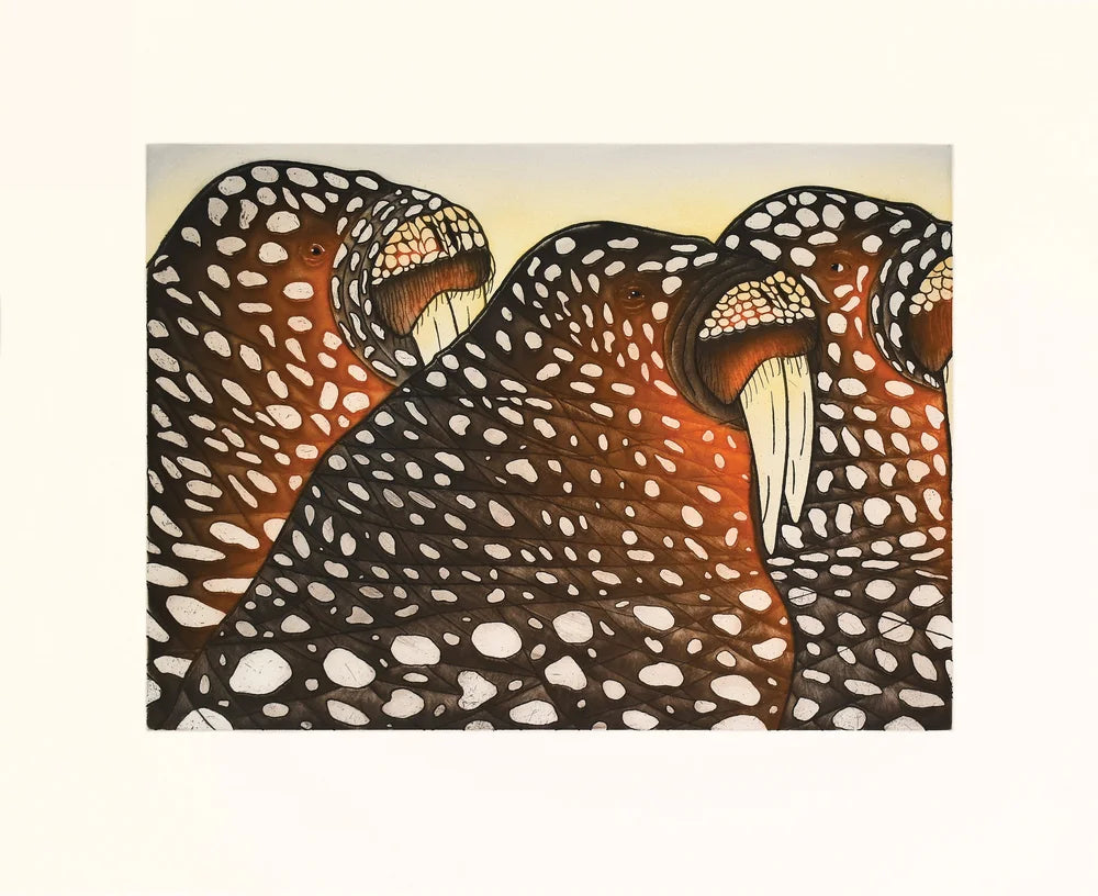 Sunbathing by Pauojoungie Saggiak From the 2026 inuit art print collection Dorset fine arts
