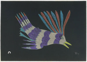 CURIOUS BIRD by Kakulu Saggiaktok