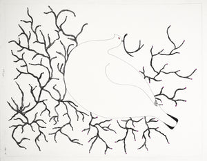 Schneehuhn von Ningeokuluk Teeevee – Zeichnung