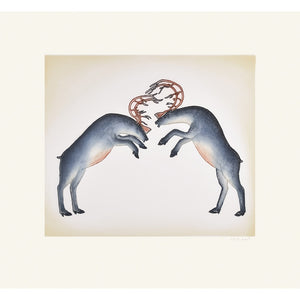 Rutting Caribous, Pitseolak Niviaqsi, Cape Dorset, Inuit art, Art inuit, Eskimo art, gravures inuit, inuit print, eskimo print, 2016, print, collection