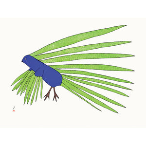 Green Feathers, Kakulu Saggiaktok, Cape Dorset, Inuit art, Art inuit, Eskimo art, gravures inuit, inuit print, eskimo print, 2016, print, collection