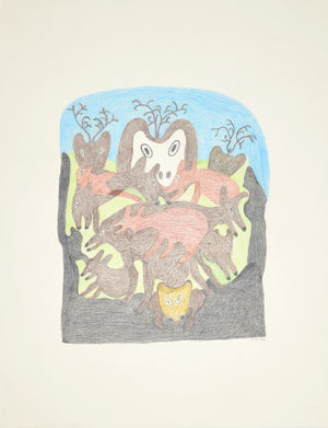 Loup chassant le caribou, dessin de Meelia Kelly 