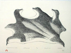 VÖGEL WERDEN SEALS von Kakulu Saggiaktok 