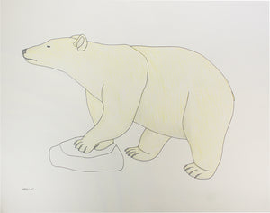 Bear by Qavavau Manumie