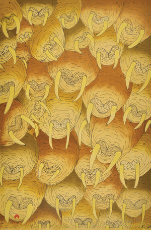 Walruses by Shuvinai Ashoona inuit art print