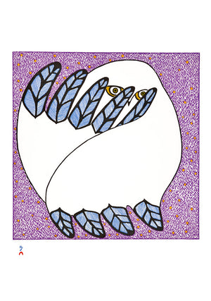 OWLS: INUIT ART FROM CAPE DORSET BOXED CARDS
