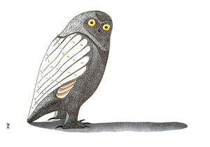 OWLS: INUIT ART FROM CAPE DORSET BOXED CARDS