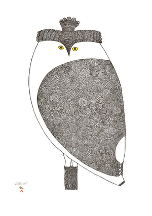 OWLS: INUIT ART FROM CAPE DORSET BOXED CARDS