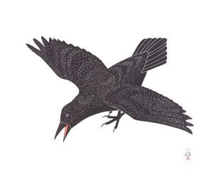 Raven’s Alarm by Kananginak Pootoogook